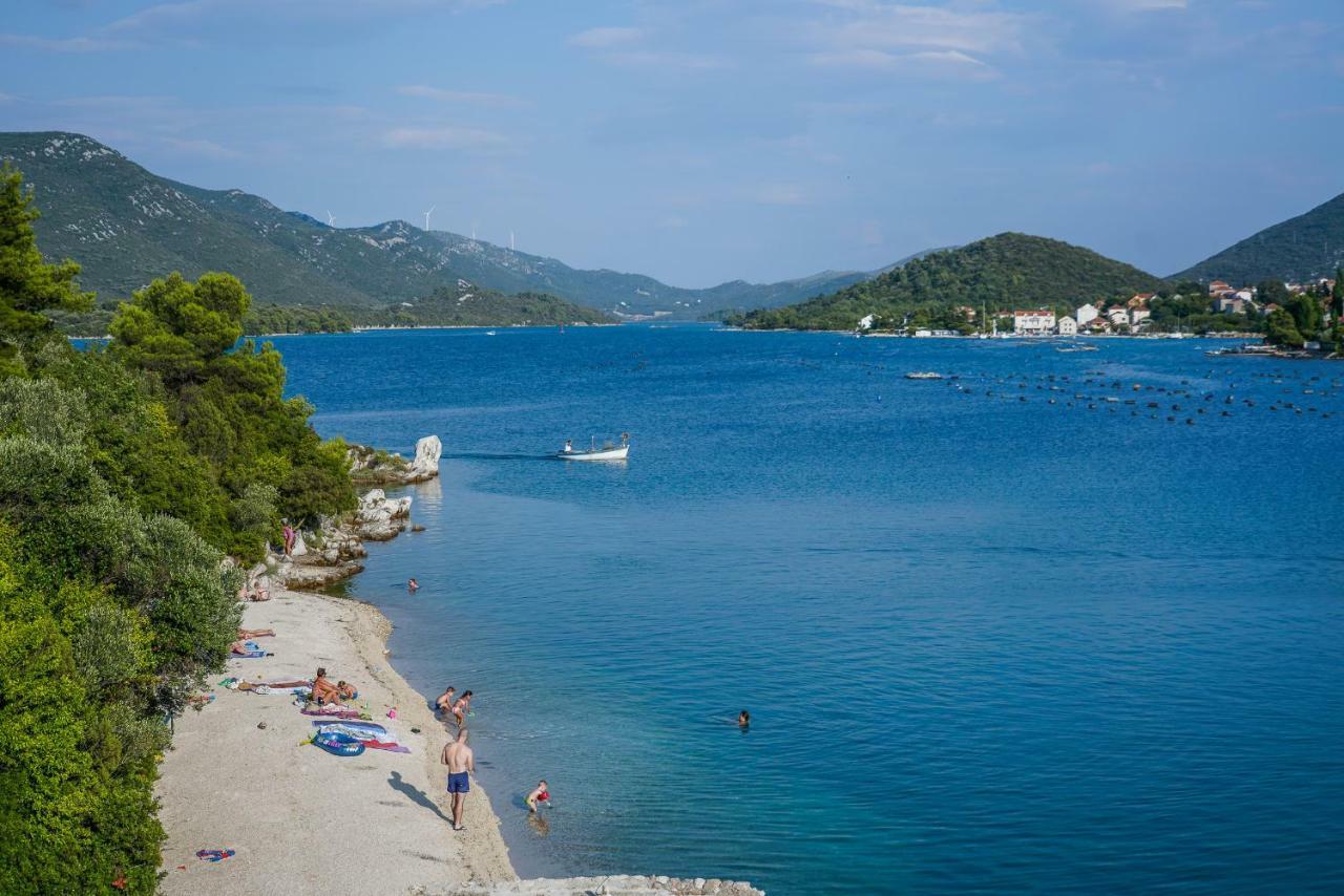 Apartman Ponta
